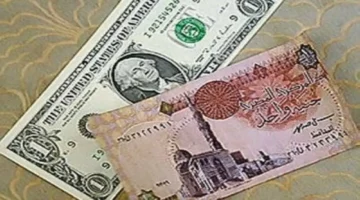 مكاسب جديدة للجنيه.. قفزة مفاجئة في سعر الصرف مقابل الدولار بالبنوك المصرية